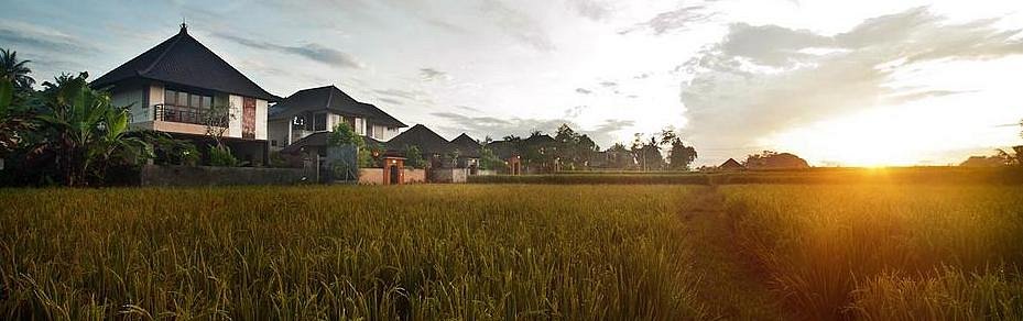 omgeving-yoga-vakantie-ubud