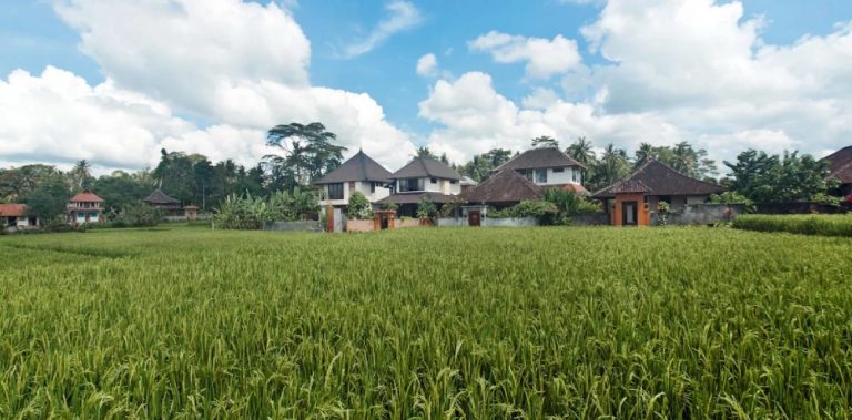 rice-terras-ubud-retreat